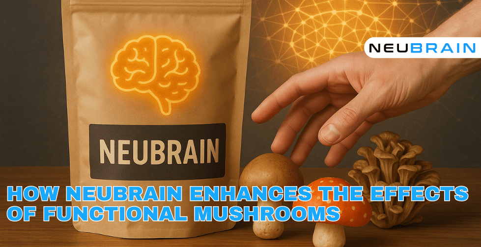 How Neubrain Enhances the Effects of Functional Mushrooms - NEUBRAIN