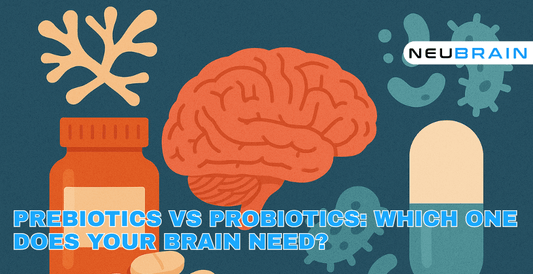 Prebiotics vs Probiotics: Which One Does Your Brain Need? - NEUBRAIN