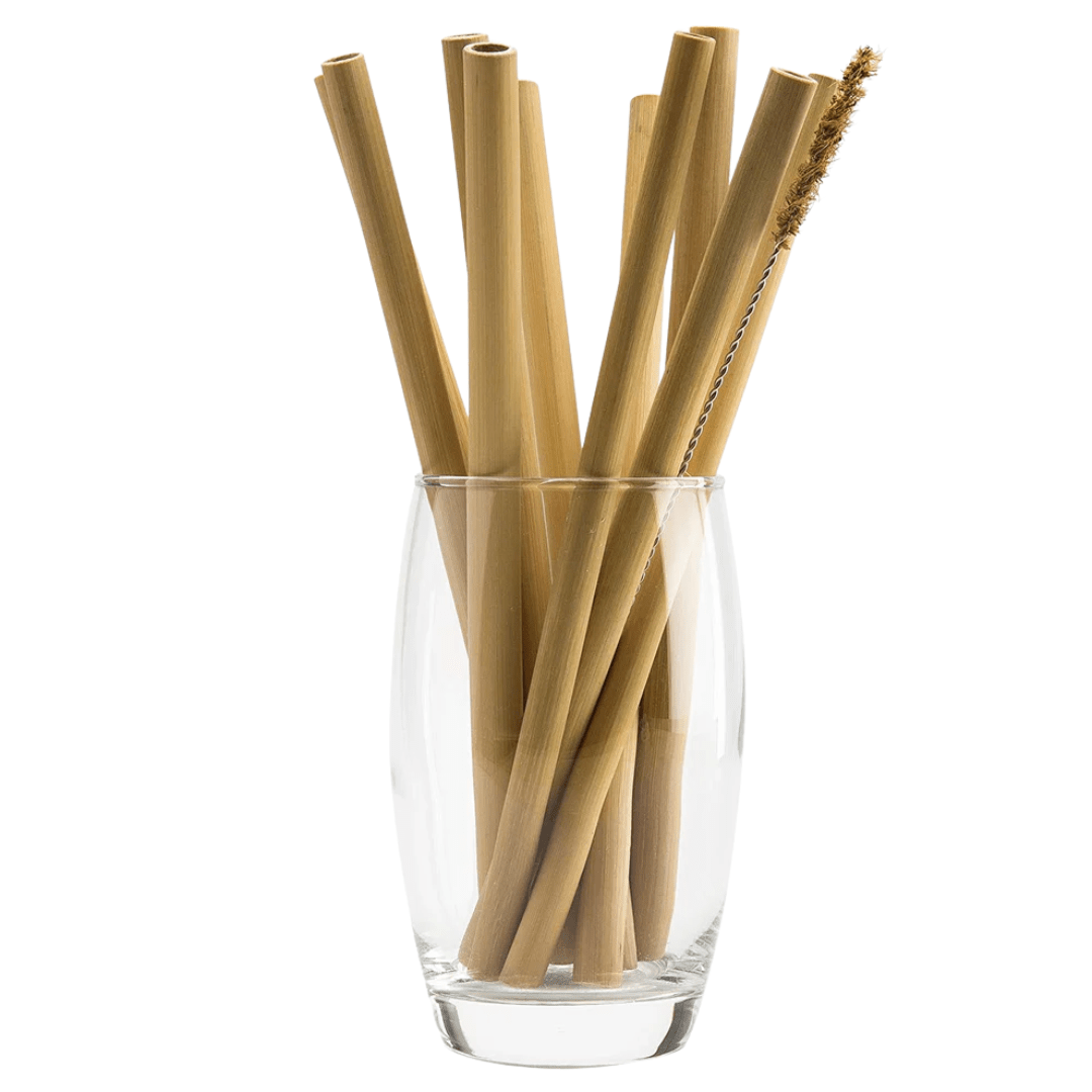 Bamboo Straw - NEUBRAIN