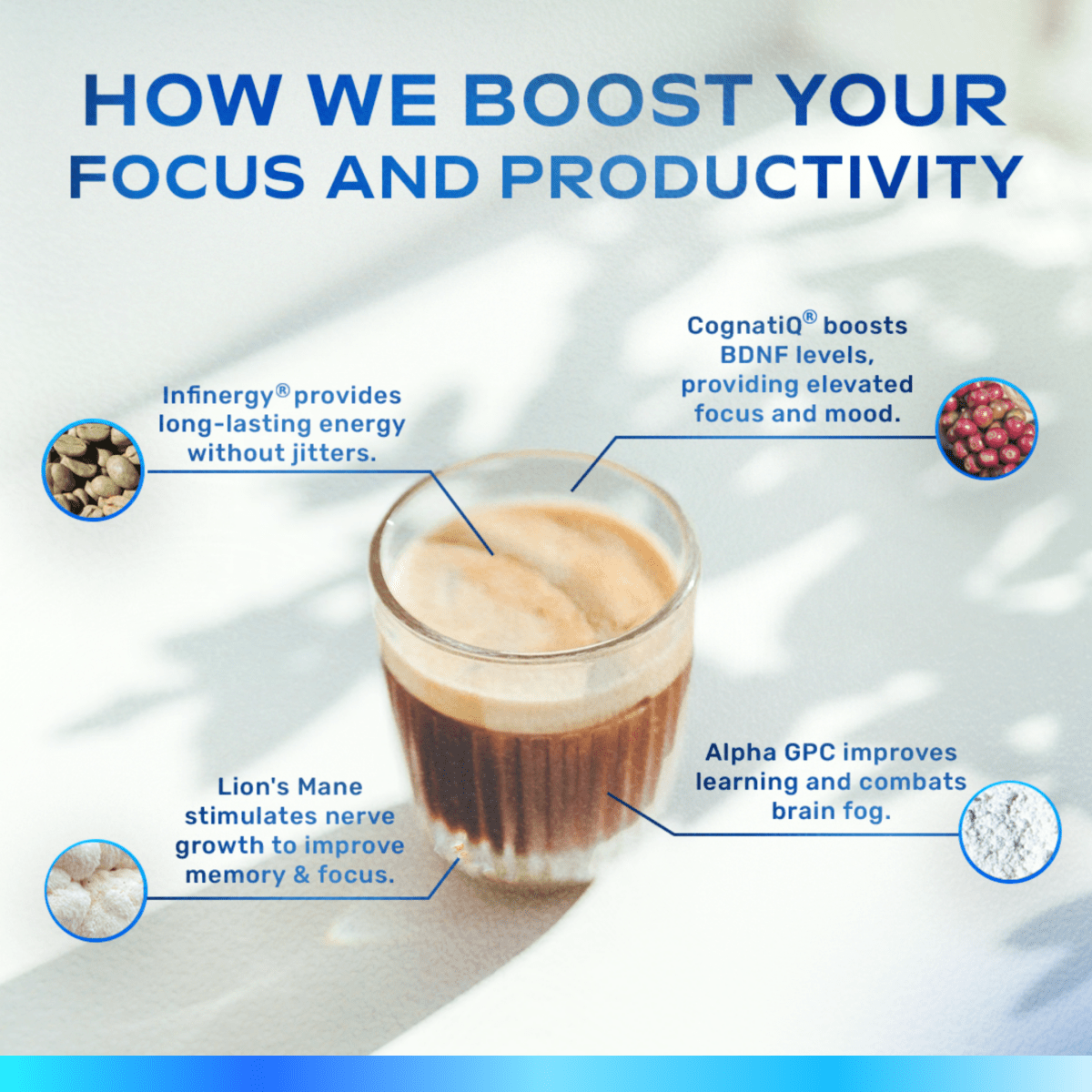 Smart Coffee + FREE Starter Kit - NEUBRAIN