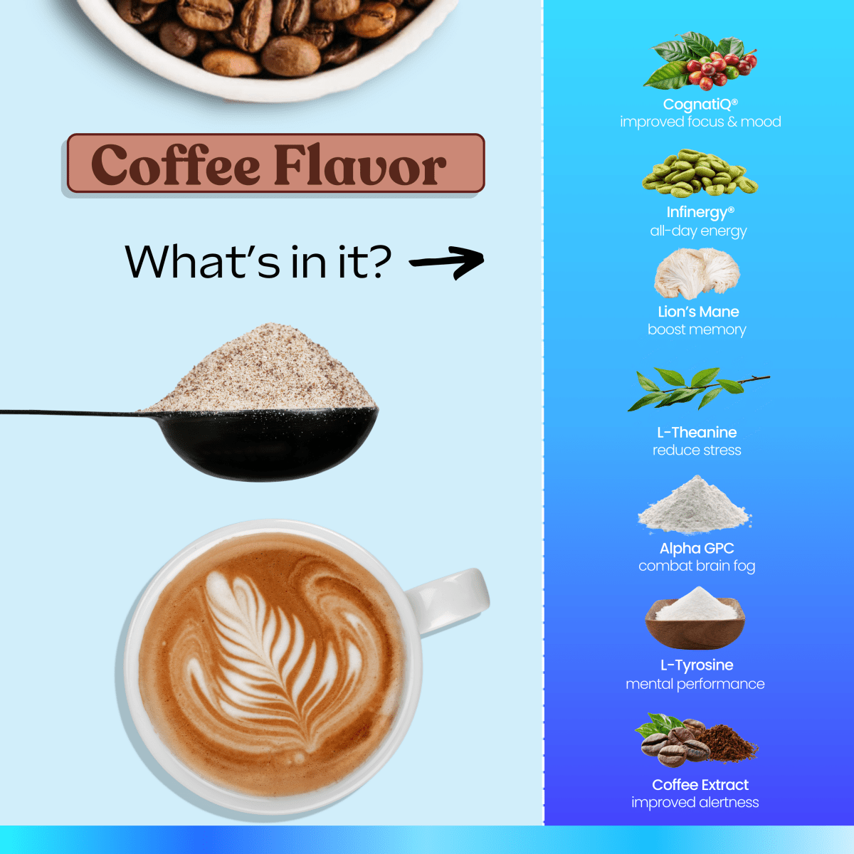 Smart Coffee + FREE Starter Kit - NEUBRAIN