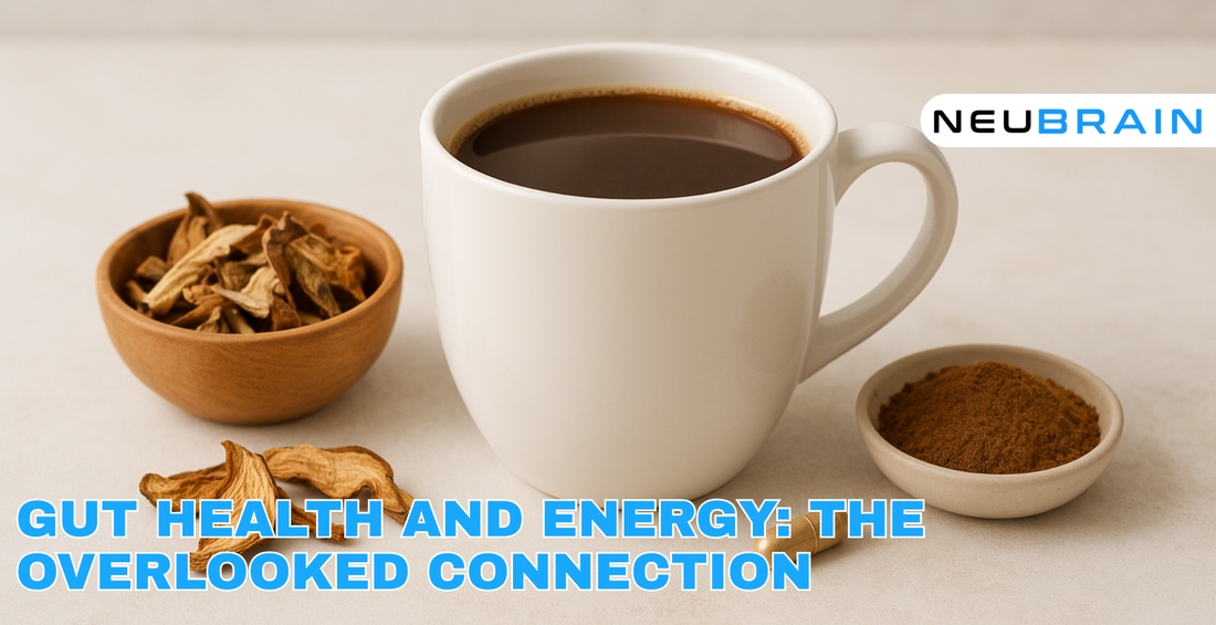 Gut Health and Energy: The Overlooked Connection