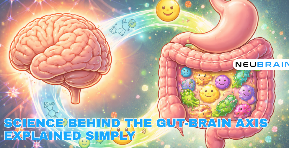 Science Behind the Gut-Brain Axis Explained Simply