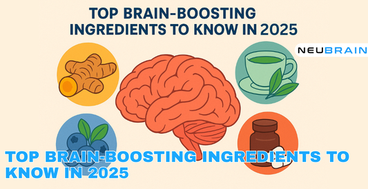 Top Brain-Boosting Ingredients to Know in 2025