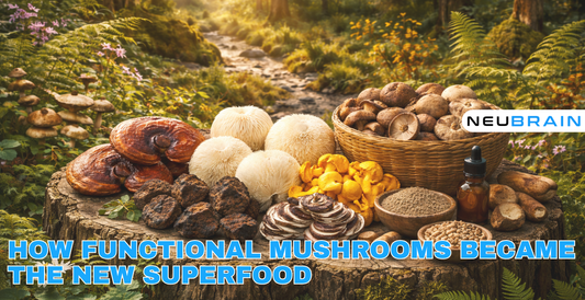 How Functional Mushrooms Became the New Superfood
