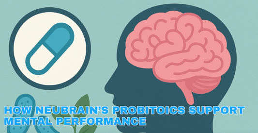 How Neubrain’s Probiotics Support Mental Performance - NEUBRAIN