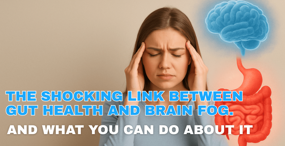 Brain Shocking The Shocking Link Between Gut Health and Brain Fog – NEUBRAIN