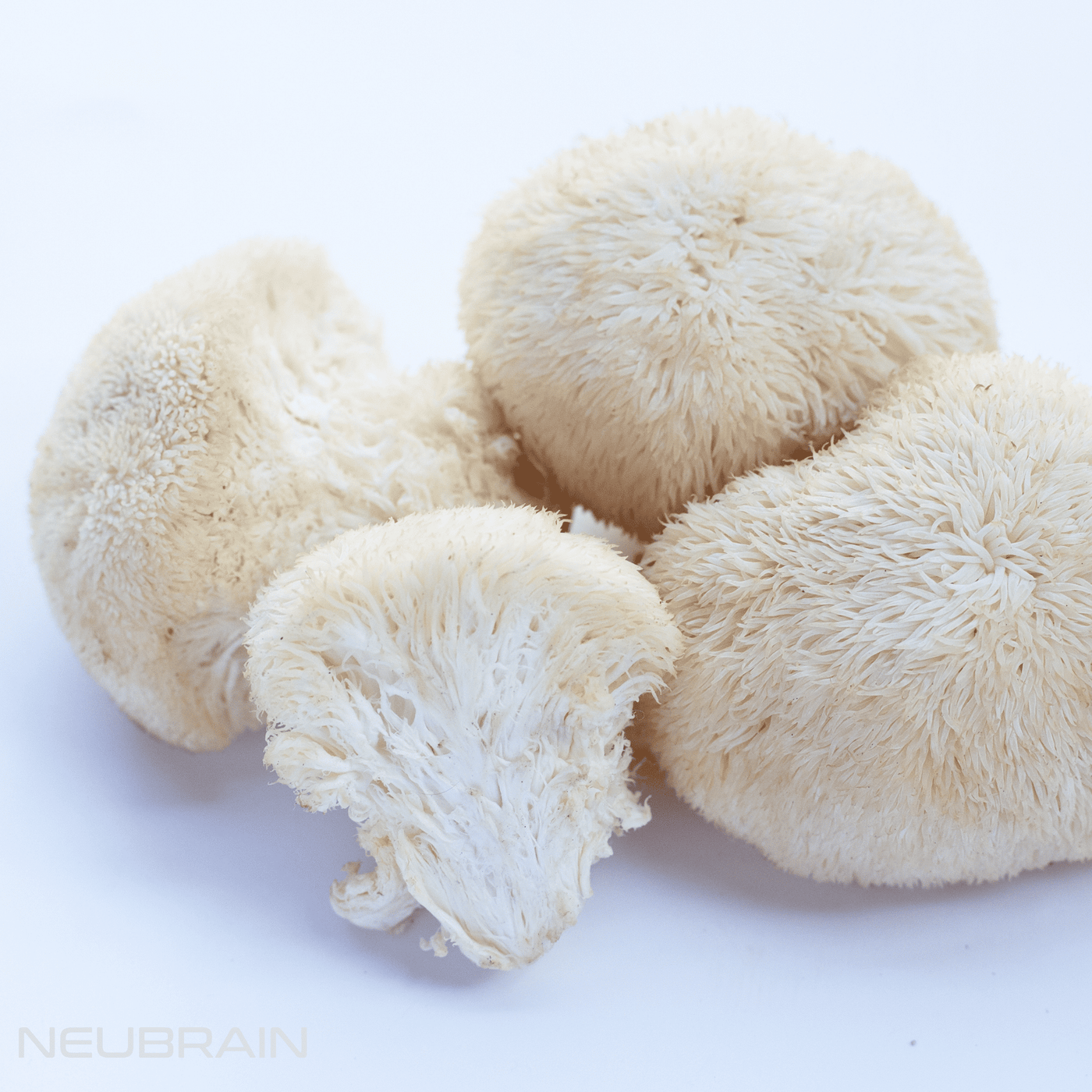 Mushroom coffee sharpens focus and reduces brain fog